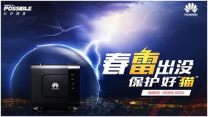 电脑猫盒华为能用吗怎么用(猫咪的幸福新天地，华为智能猫盒—打造你的猫咪天堂)