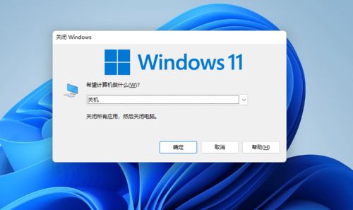 华为win11新电脑怎么开机(一、全新的启动体验)