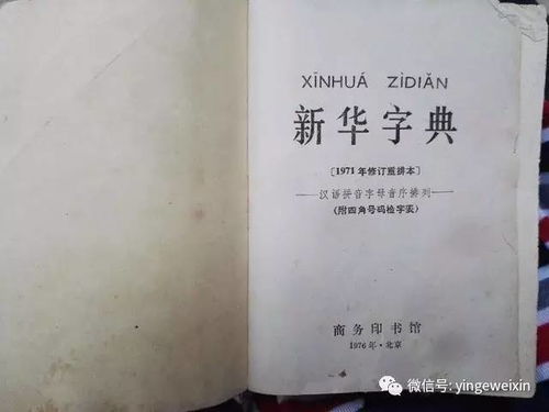 新华字典例句称“小孩是累赘”在撰写关于小孩是累赘这一主题的文案时，我们可以从多个角度进行探讨，包括社会文化、家庭教育、心理健康等多个方面。以下是一篇基于新华字典例句的文案示例，