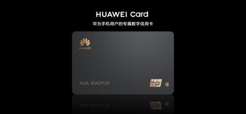 华为电脑怎么安装安卓版app(解锁新世界的大门，如何在华为电脑上轻松安装安卓应用)