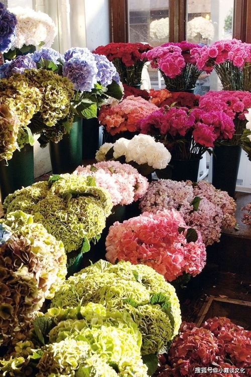 花店起名字直播怎么起名