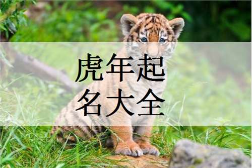 牛年李氏起名怎么起名的