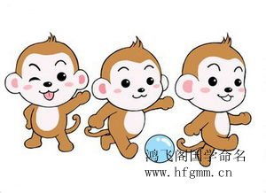 给猴子起名怎么起名字