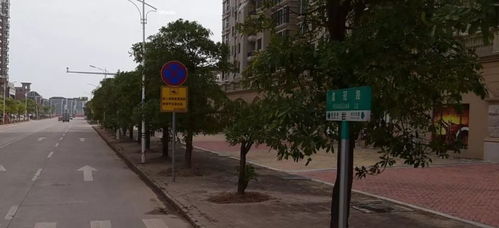 村级道路起名怎么起名字