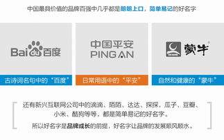 牧业品牌起名怎么起名字