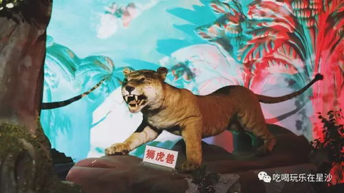 小老虎起名土字怎么起名
