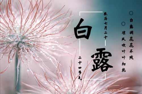 白露怎么起名