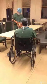 轮椅怎么起名