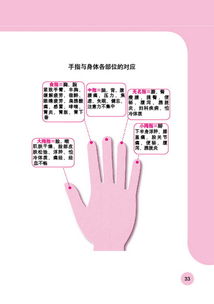 手指怎么起名