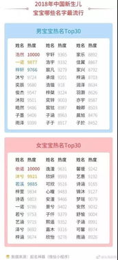2018怎么起名