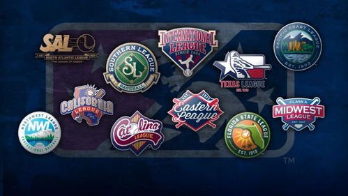 mlb怎么起名