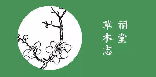 柟起名怎么