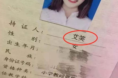 专业起名先生怎么起名女孩