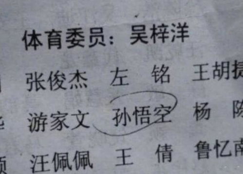 孙氏团队起名怎么起名好听