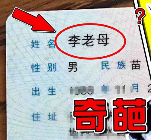 起名兔宝宝姓李怎么起名