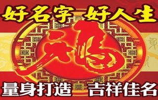 家族起名怎么起名好记的