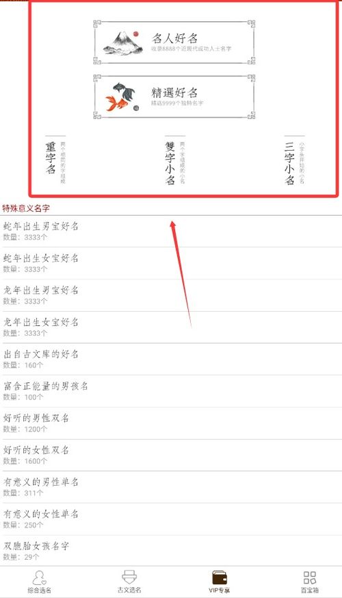 智能大师起名怎么起名的