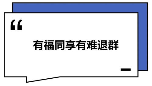 连群起名好吗怎么起名
