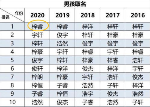 活动篇章起名怎么起名好听