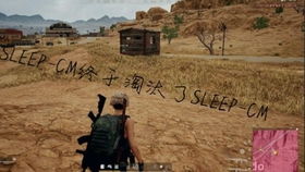 懒得起名用槟榔怎么起名