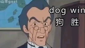 汽车起名鬼才怎么起名的