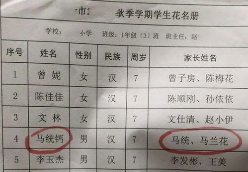 网友给职业起名怎么起名