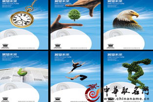拼图品牌起名怎么起名的
