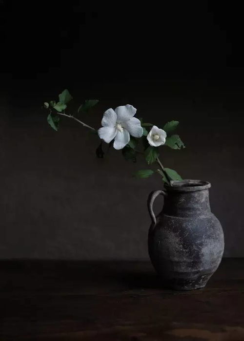 春天插花起名怎么起名