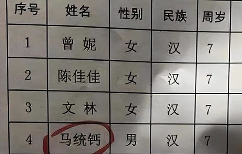 起名游戏姓氏怎么起名的