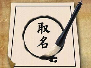 弘毅文学起名怎么起名
