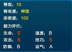 宠物起名坚果怎么起名
