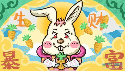 起名了兔子怎么起名