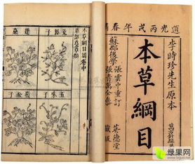 山药创意起名怎么起名