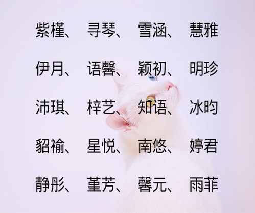起名男女怎么起名好听
