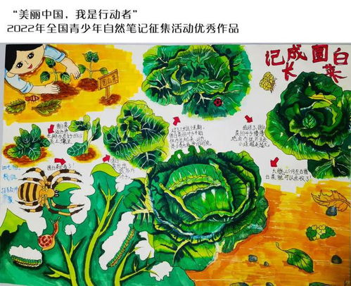 夏天作品起名怎么起名