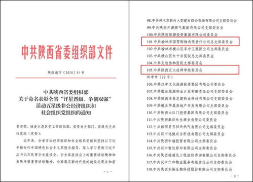 公司组织起名怎么起名