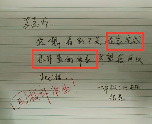 母狗起名怎么起名好听