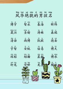 小组有趣起名怎么起名