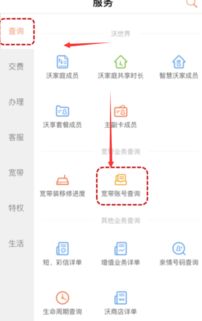 联通账号起名怎么起名