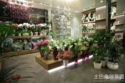 县城花店起名怎么起名