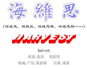 公司起名 英译怎么起名