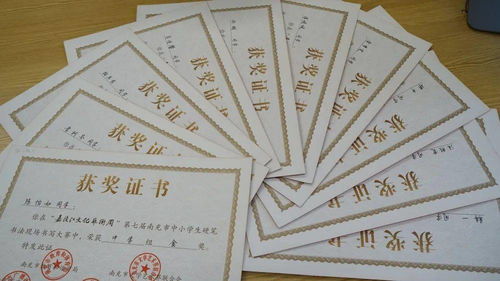 纹样展览起名怎么起名