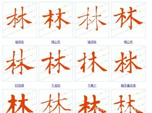 男孩起名姓林怎么起名