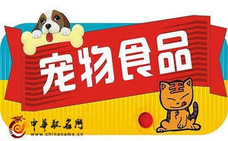 宠物起名玩具怎么起名