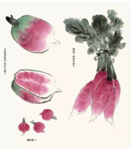 蔬菜作品起名怎么起名
