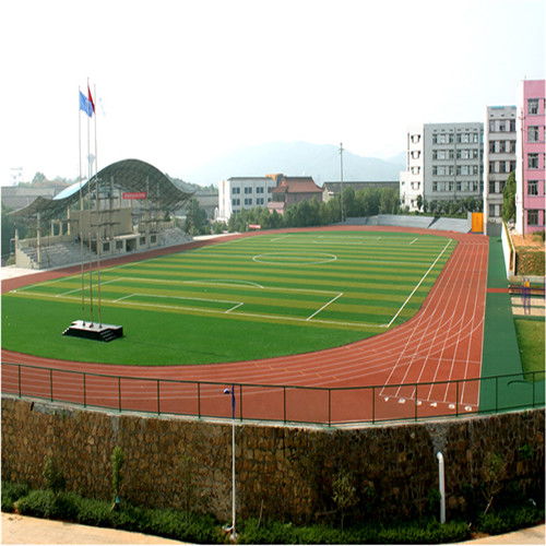 体育跑道起名怎么起名