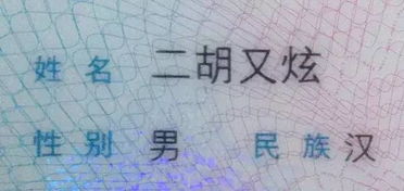 公婆干涉起名怎么起名