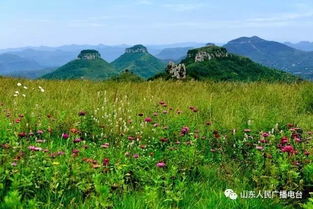 草原风景起名怎么起名