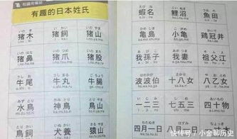 外国起名怎么起名好听