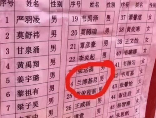 姓石男孩带羽怎么起名字